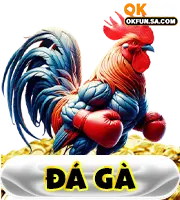 OKFUN 12 đá gà okfun sa com